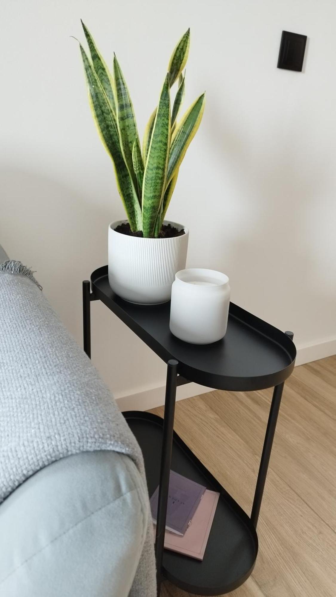 Apartment Between 크라쿠프 외부 사진